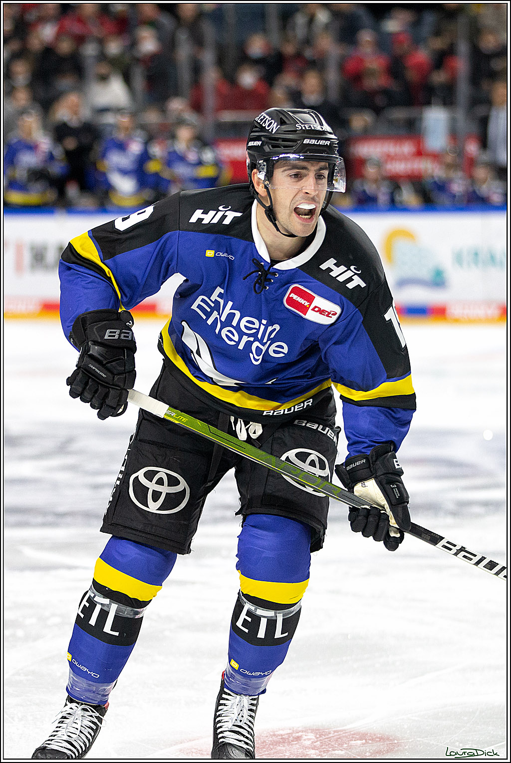 PENNY DEL; Koelner Haie- Fishtown Pinguins Bremerhaven; Koeln, 23.11.2021